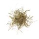 1577-agrobs-heu-1 1577-agrobs-heu-1