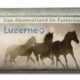 3034-luzerne 3034-luzerne