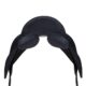 WL-AllPurposeDlux-cantle-Blk WL-AllPurposeDlux-cantle-Blk