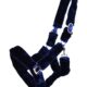 1097nabl-5 1097nabl-5