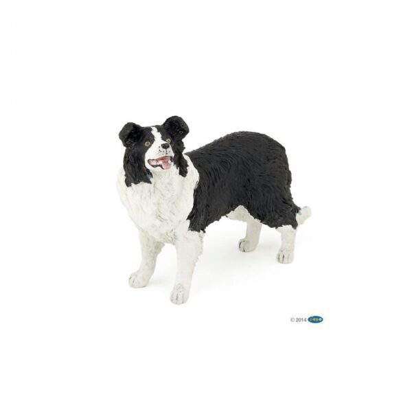 8300-5e7caa1c2f2a55-46960197-papo-border-collie