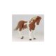 8262-5e7c95d6980f32-77081553-papo-pinto-mare2028129 8262-5e7c95d6980f32-77081553-papo-pinto-mare2028129