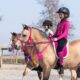 nh-fuchsia nh-fuchsia