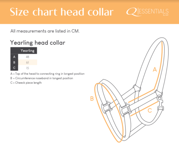 1114-size-chart