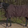 1186-Winterdecke-Pferd-300g