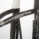 28002520-bruin-2 28002520-bruin-2
