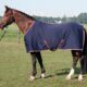 32200093-navy 32200093-navy