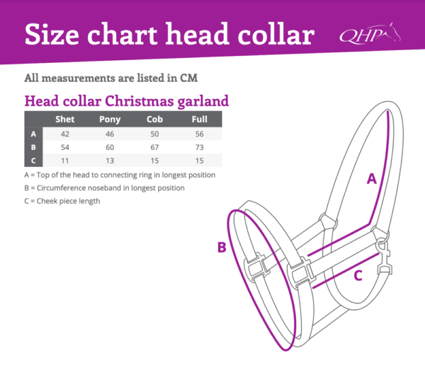 1113-size-chart