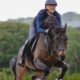 981-001-023-ambi-11 981-001-023-ambi-11