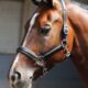 28500021-zilver-2 28500021-zilver-2