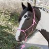 31000701-roze