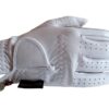Galaxy-White-WB