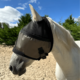 Screenshot-2025-06-01-at-15-58-28-Helios-90-anti-UV-mask-without-earmuffs-with-earmuffs-Equidiva Screenshot-2025-06-01-at-15-58-28-Helios-90-anti-UV-mask-without-earmuffs-with-earmuffs-Equidiva