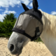 Screenshot-2025-06-01-at-16-00-37-Helios-90-UV-mask-with-earmuffs-with-earmuffs-Equidiva Screenshot-2025-06-01-at-16-00-37-Helios-90-UV-mask-with-earmuffs-with-earmuffs-Equidiva