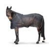 b21880045-ambi-1-web