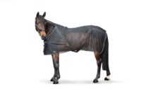 b21880045-ambi-1-web