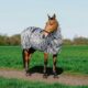 400708050-ambi-2-web 400708050-ambi-2-web