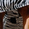400708050-ambi-7-web