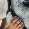 Screenshot-2025-09-13-at-09-08-56-Silver-Horse-Bit-Ring-Maya-Equestrian-Shop