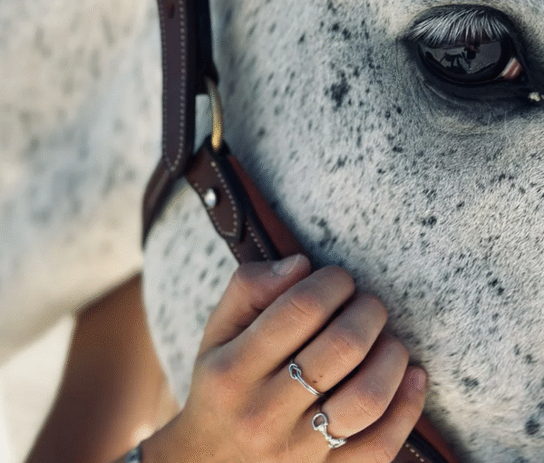 Screenshot-2025-09-13-at-09-08-56-Silver-Horse-Bit-Ring-Maya-Equestrian-Shop