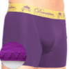 Screenshot-2025-09-29-at-17-36-25-PERFORMANCE-PADDED-SHORTY-DERRIERE