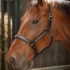 28500006-zwart-gunmetal-3