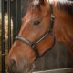 28500006-zwart-gunmetal-3 28500006-zwart-gunmetal-3