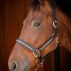 28500006-zwart-rosegold-3