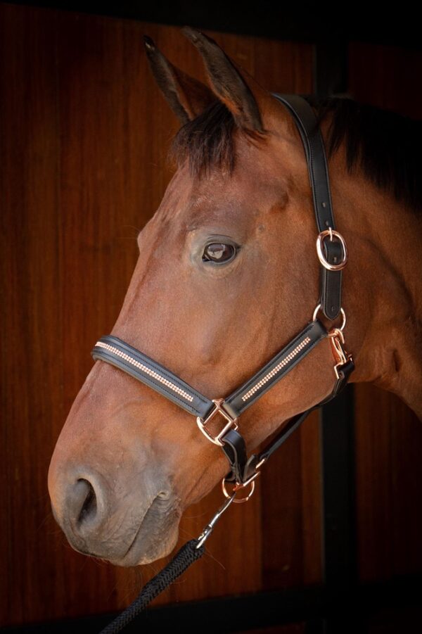 28500006-zwart-rosegold-3