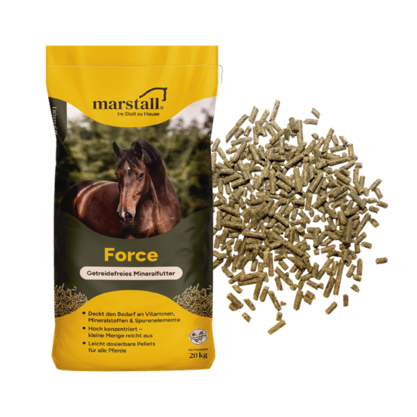 Screenshot-2025-10-18-at-14-20-05-marstall-Force