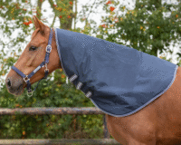 Screenshot-2025-10-28-at-01-23-09-6366na-webp-WEBP-Image-1280-1024-pixels-Scaled-69