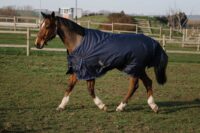 400522063-ambi-1-web