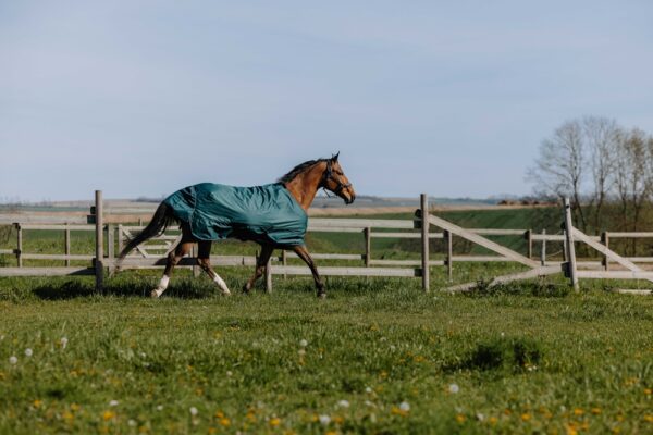 400552963-ambi-1-web