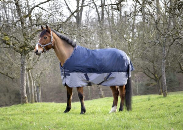 400910753-ambi-1-web