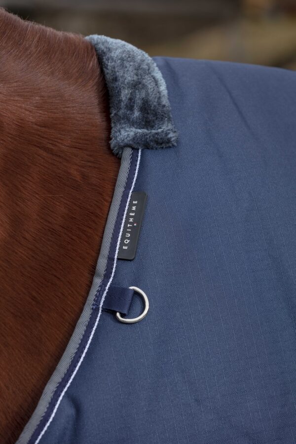 400911763-ambi-10-web