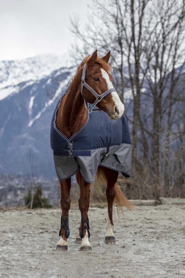 400911763-ambi-2-web