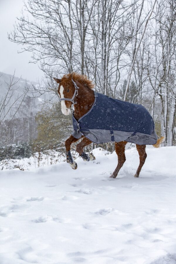 400911763-ambi-6-print