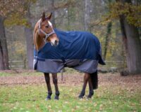 400917763-ambi-1-web-2