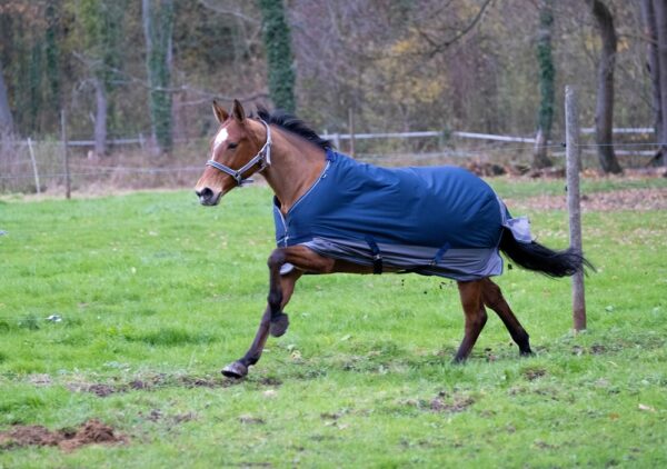 400917763-ambi-2-web-2