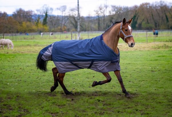 400917763-ambi-3-web-2