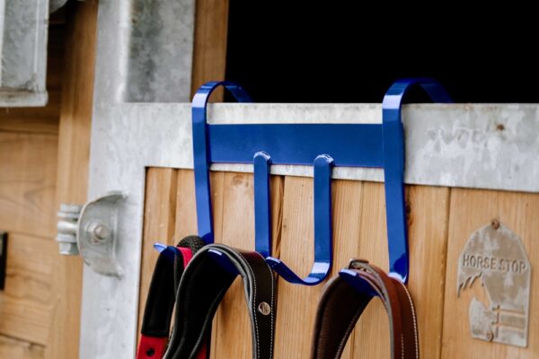 704215007-ambi-1-web