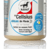 Cellsius600ml-01-2023-rgb