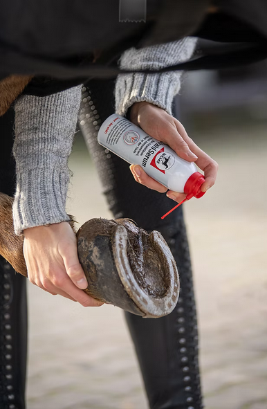 Screenshot-2025-11-12-at-17-36-45-FrogMedic-leovet