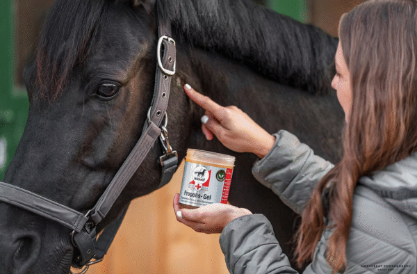 Screenshot-2025-11-25-at-10-20-42-First-Aid-Silver-Salve-leovet