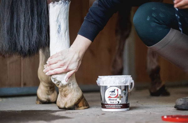 Screenshot-2025-11-28-at-16-42-09-Mineral-Pack-leovet