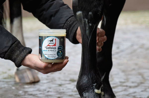 Screenshot-2025-11-30-at-22-42-29-Cellsius-Cooling-Gel-leovet