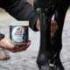 Screenshot-2025-11-30-at-22-42-29-Cellsius-Cooling-Gel-leovet Screenshot-2025-11-30-at-22-42-29-Cellsius-Cooling-Gel-leovet
