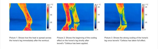 image-8b785628-8f71-4aec-9d3e-b6d3d96aff2b