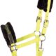 31000055-lime-2 31000055-lime-2