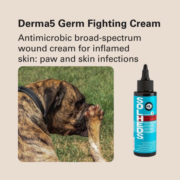 552271948-1341454527989536-723052984049720898-n